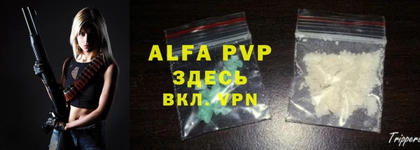 гашик Арсеньев