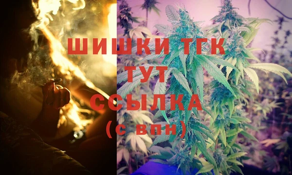 гашик Арсеньев