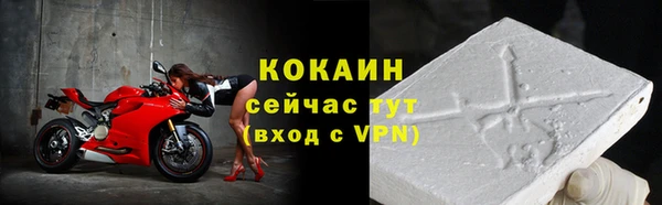 гашик Арсеньев