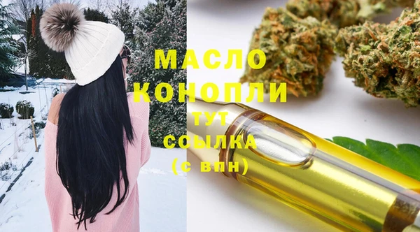 гашик Арсеньев