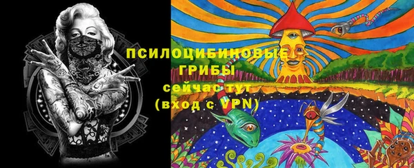 гашик Арсеньев