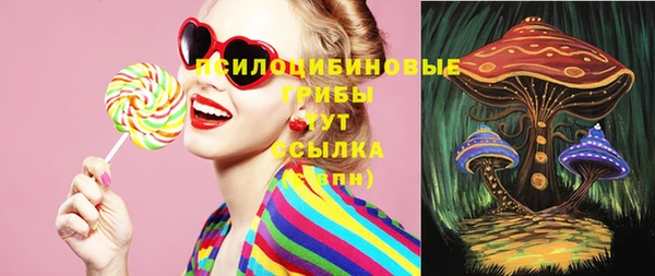 гидра Нефтегорск
